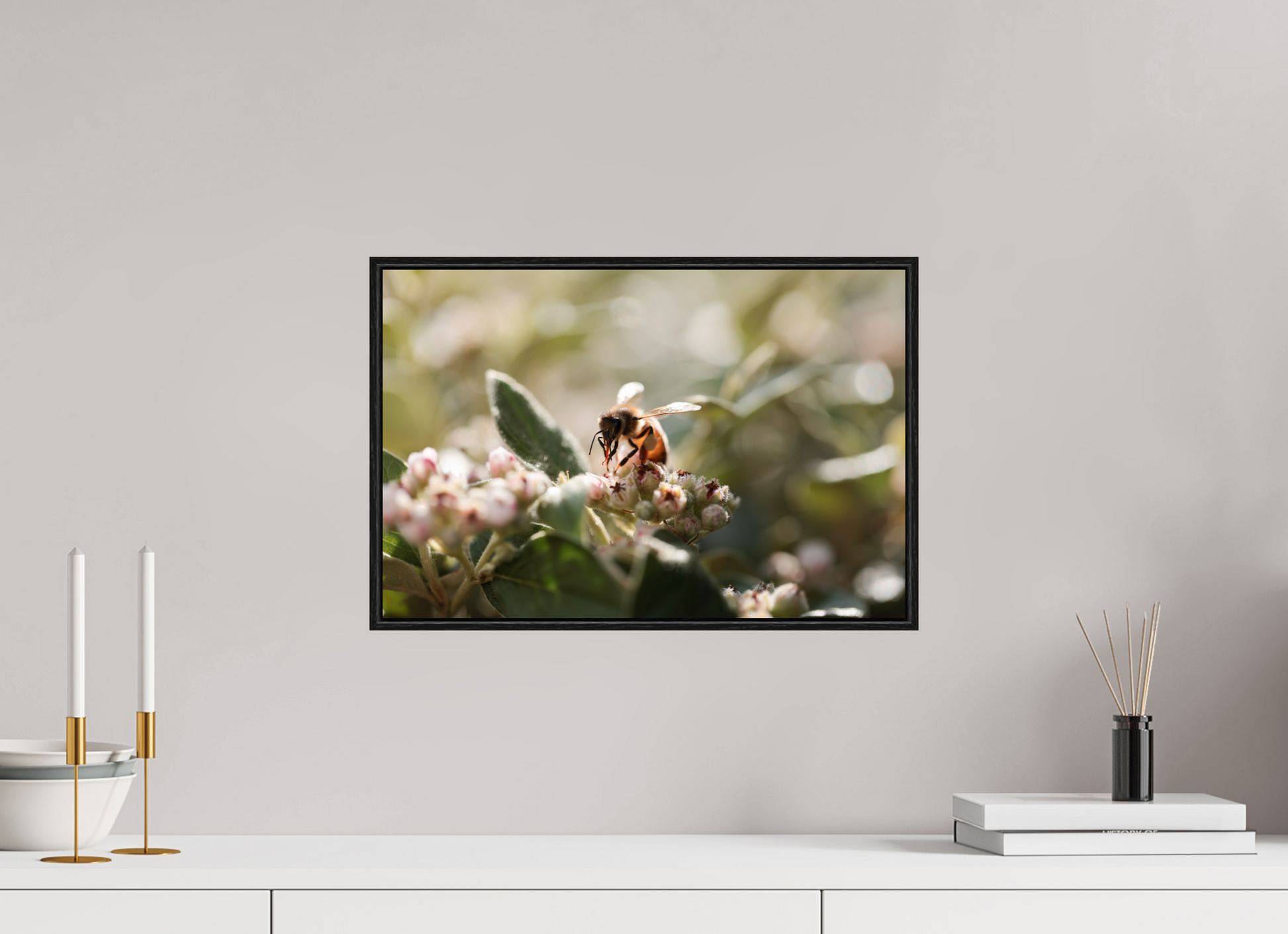 45 x 30 cm, Alu et cadre américain Abeille à la lumière