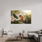 180 x 120 cm, Photo Print Under Acrylic Glass Abeille à la lumière - 2