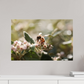 60 x 40 cm, Photo Print Under Acrylic Glass Abeille à la lumière