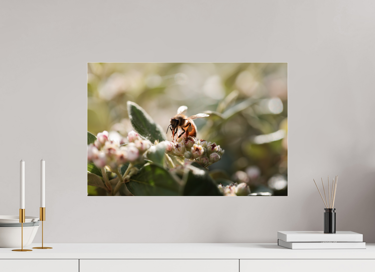 60 x 40 cm, Photo Print Under Acrylic Glass Abeille à la lumière