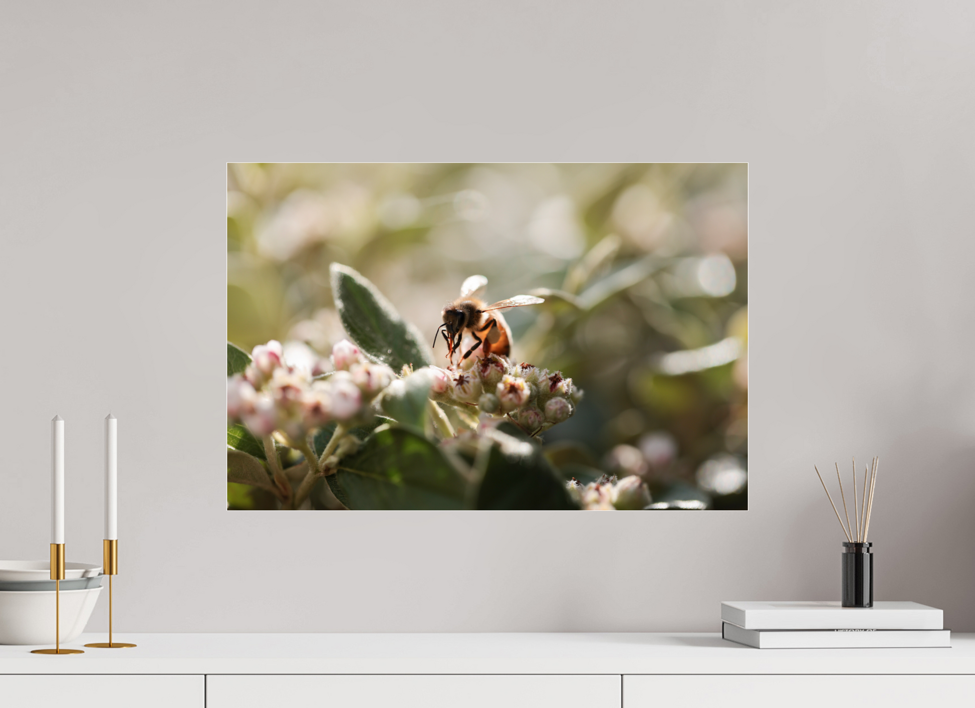 60 x 40 cm, Photo Print Under Acrylic Glass Abeille à la lumière