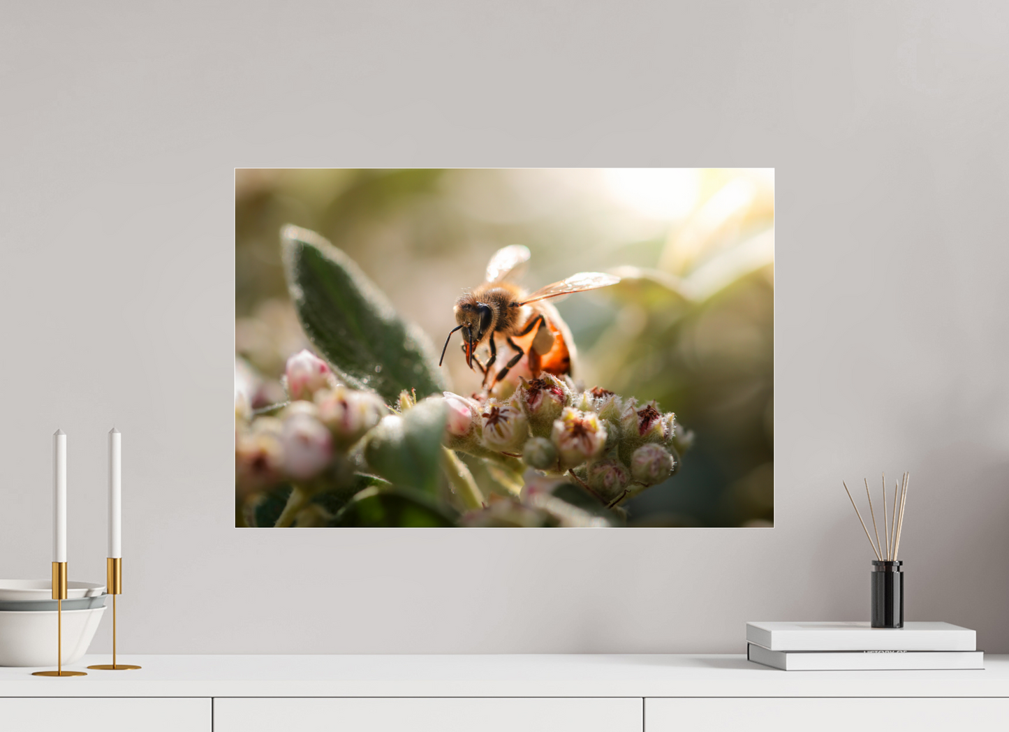 60 x 40 cm, Photo Print Under Acrylic Glass Abeille à la lumière - 2