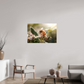 105 x 70 cm, Photo Print Under Acrylic Glass Abeille à la lumière - 2