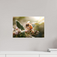 45 x 30 cm, Photo Print Under Acrylic Glass Abeille à la lumière - 2