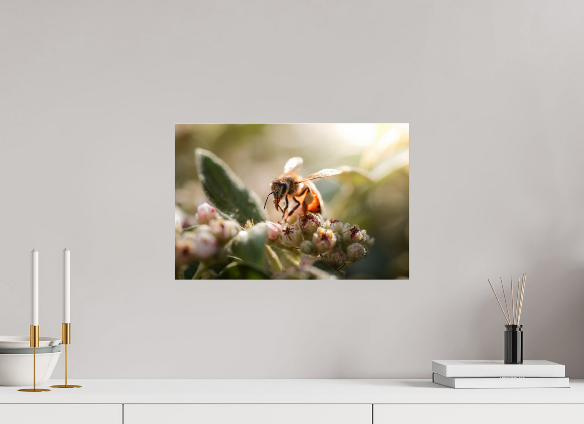 45 x 30 cm, Photo Print Under Acrylic Glass Abeille à la lumière - 2