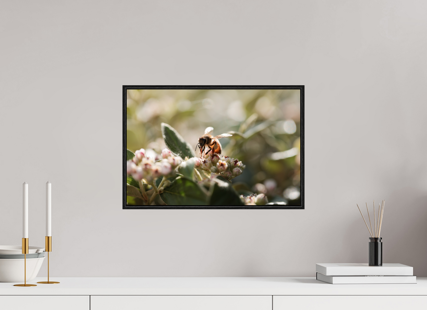 45 x 30 cm, Plexi et cadre américain Abeille à la lumière