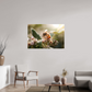 120 x 80 cm, Photo Print Under Acrylic Glass Abeille à la lumière - 2