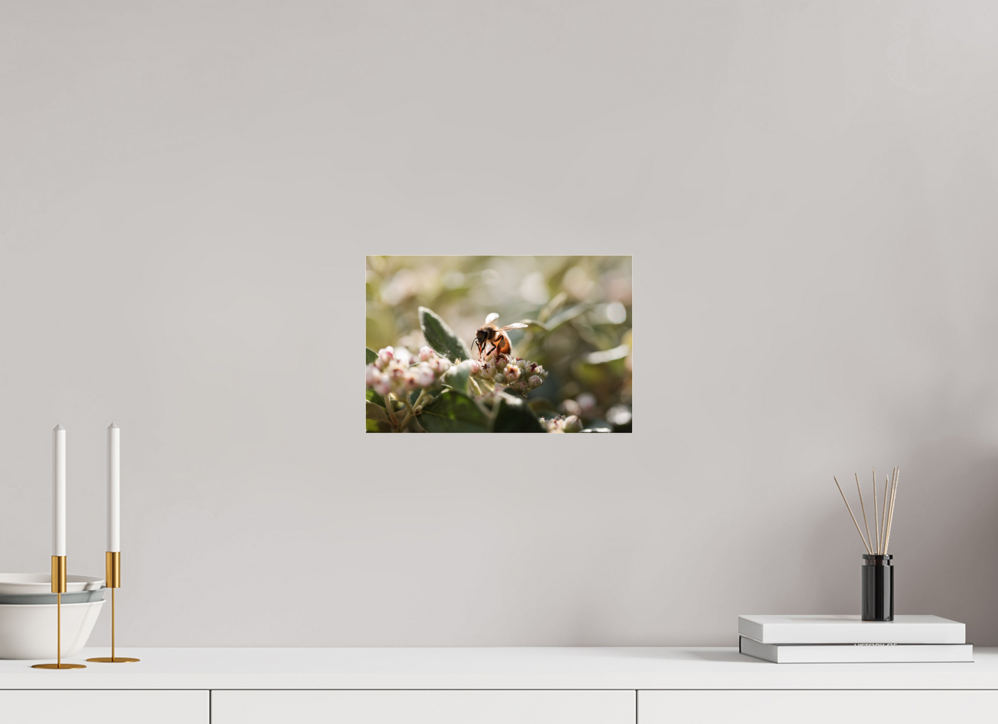 30 x 20 cm, Photo Print Under Acrylic Glass Abeille à la lumière