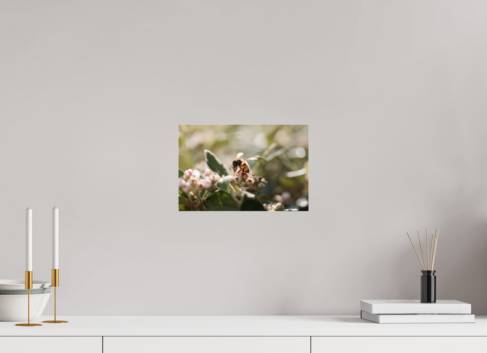 30 x 20 cm, Photo Print Under Acrylic Glass Abeille à la lumière