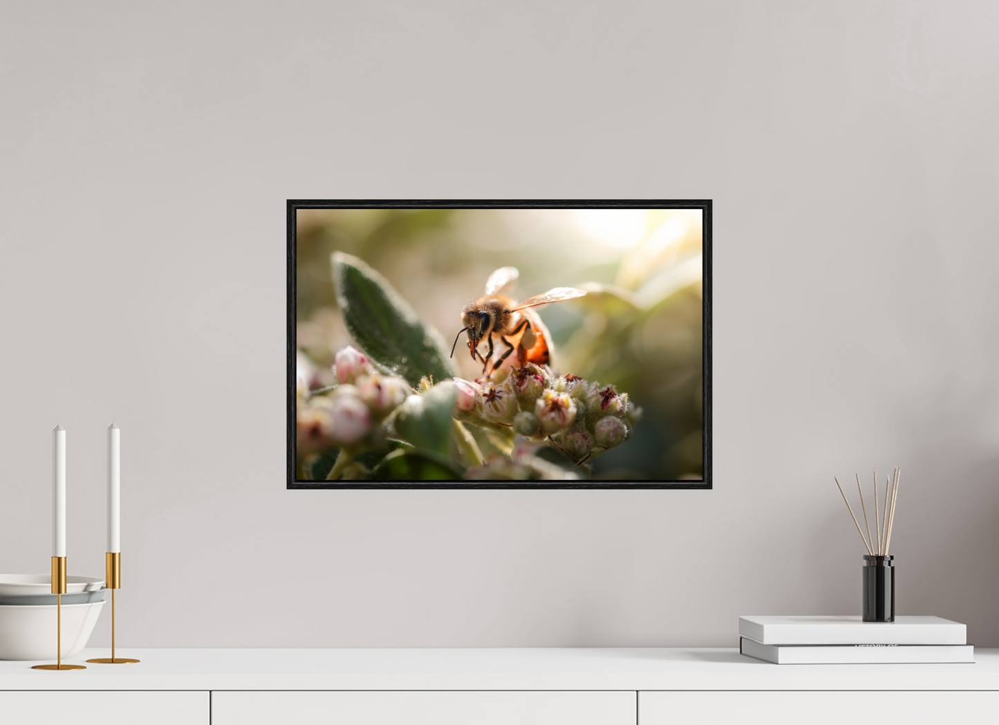 45 x 30 cm, Plexi et cadre américain Abeille à la lumière - 2