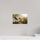30 x 20 cm, Photo Print Under Acrylic Glass Abeille à la lumière - 2
