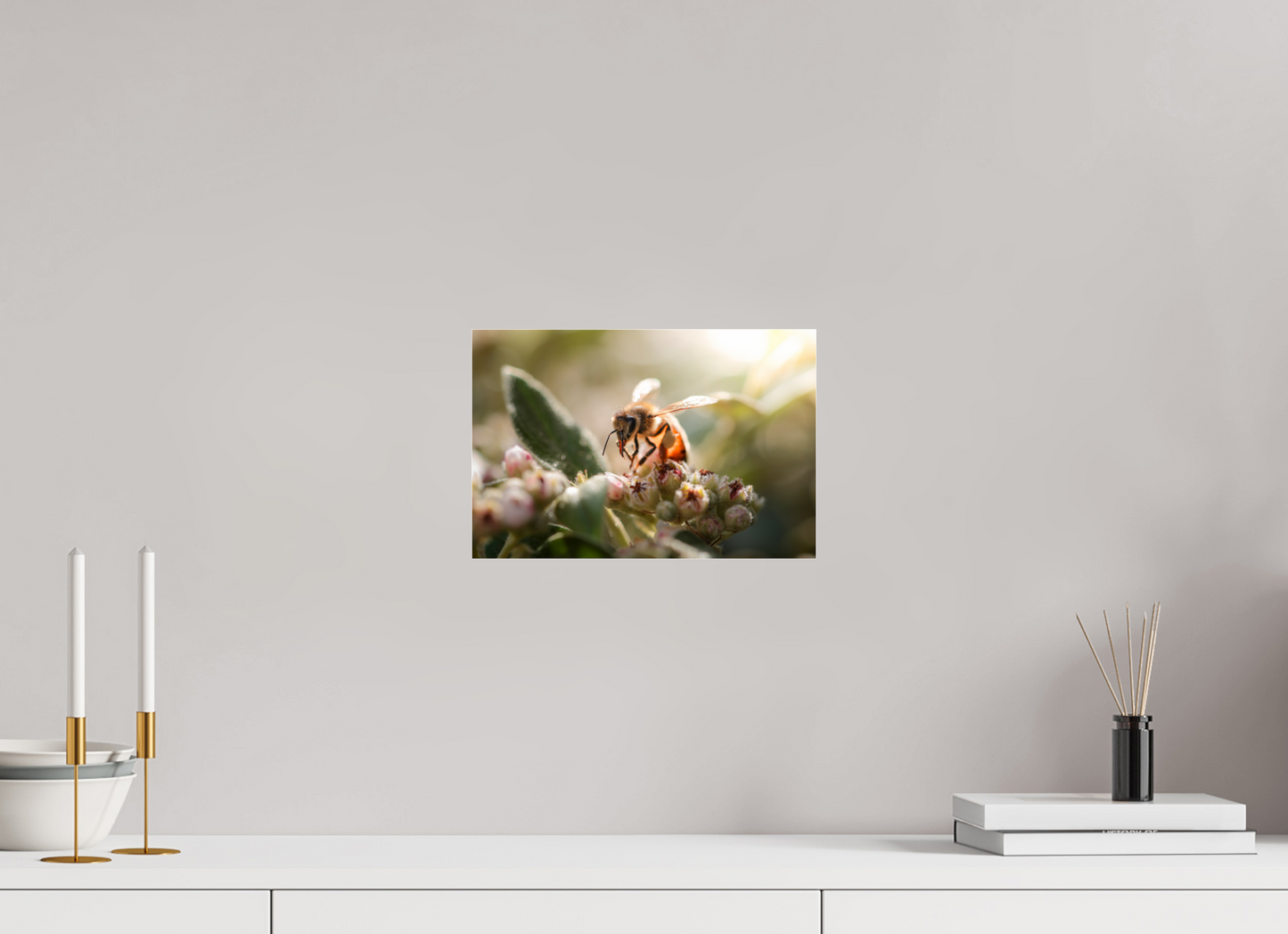 30 x 20 cm, Photo Print Under Acrylic Glass Abeille à la lumière - 2