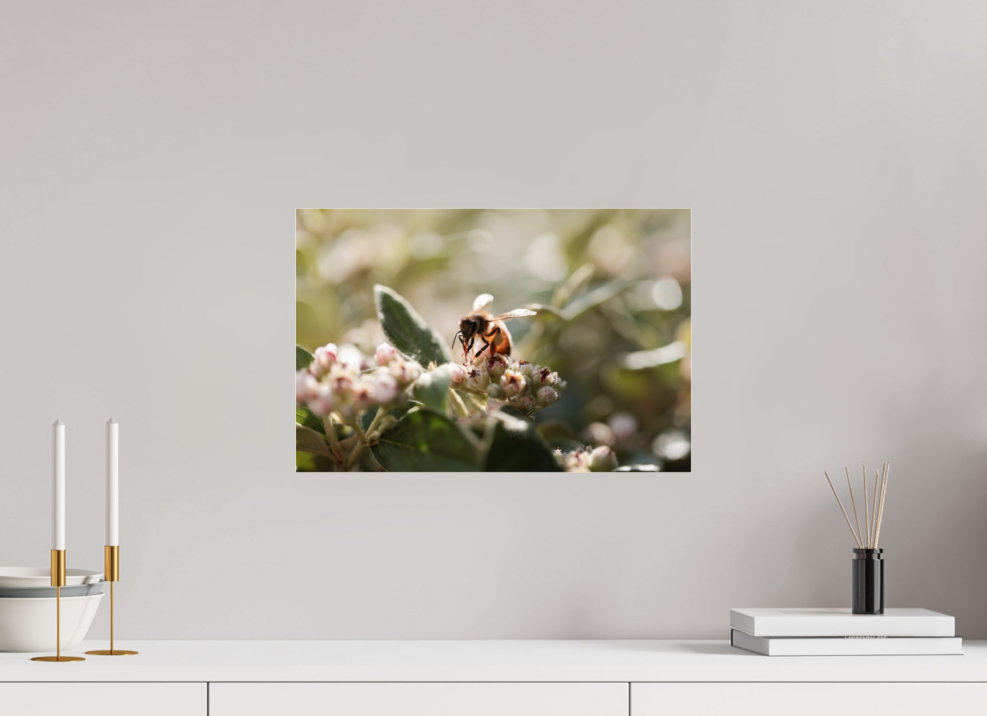 45 x 30 cm, Photo Print Under Acrylic Glass Abeille à la lumière