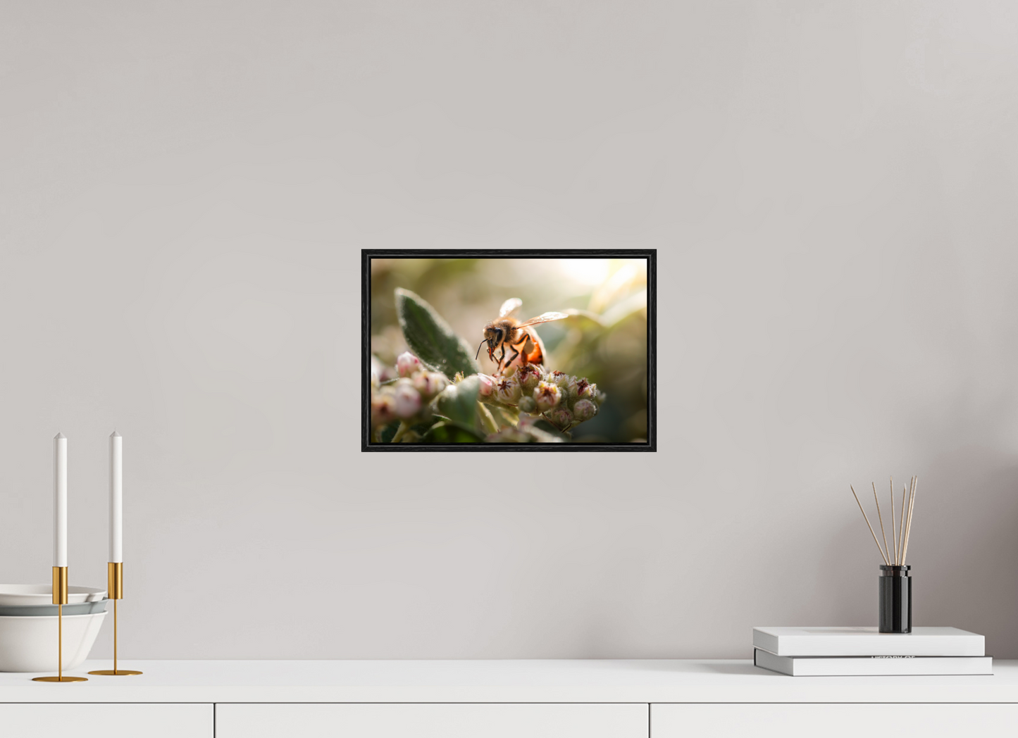30 x 20 cm, Plexi et cadre américain Abeille à la lumière - 2