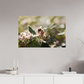 90 x 60 cm, Photo Print Under Acrylic Glass Abeille à la lumière