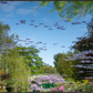 Main image Une pensée de Claude Monet